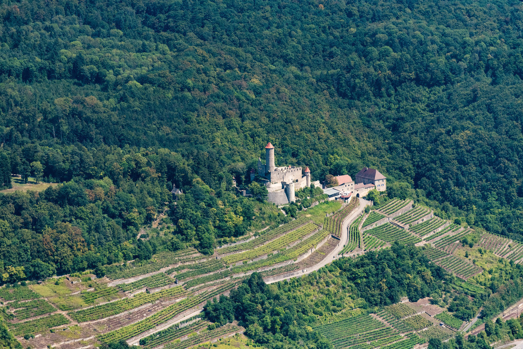 dr__0015685.jpg | NECKARZIMMERN 03.08.2018 Burganlage der Veste Hornberg in Neckarzimmern im Bundesland Baden-Württemberg, Deutschland. // Castle of the fortress Hornberg in Neckarzimmern in the state Baden-Wurttemberg, Germany. Foto: Daniel Reiter