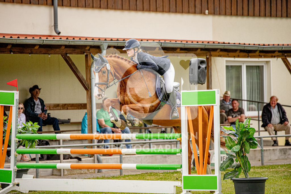 IMG_7655 | Pauline Ullmann Photography - Realisiert mit Pictrs.com