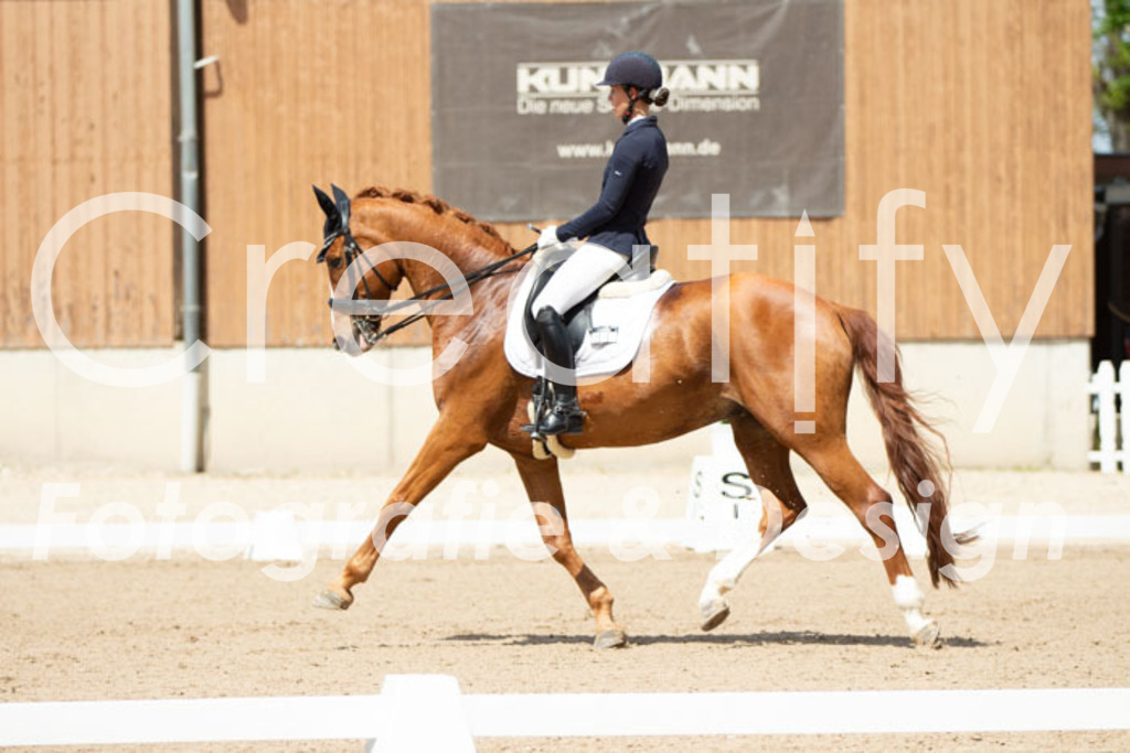 IMG_5695 | Creatify Fotografie