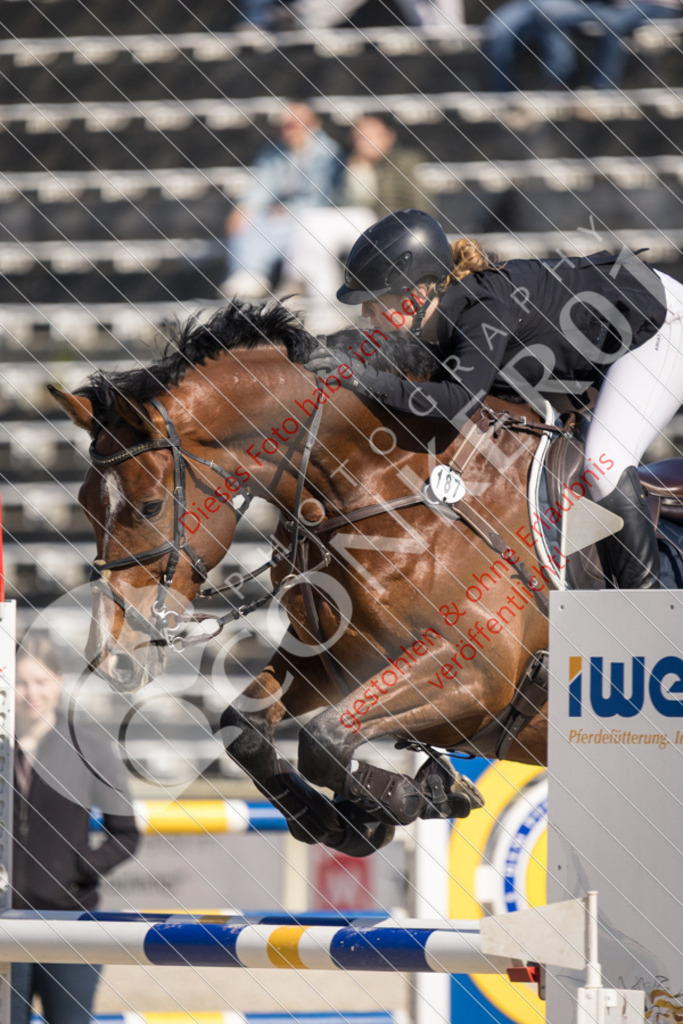 IMG_3633 | Sport-, Event- und Tierfotos in Profiqualität. Einfach auswählen, bestellen und herunterladen. Dein Moment – perfekt festgehalten.