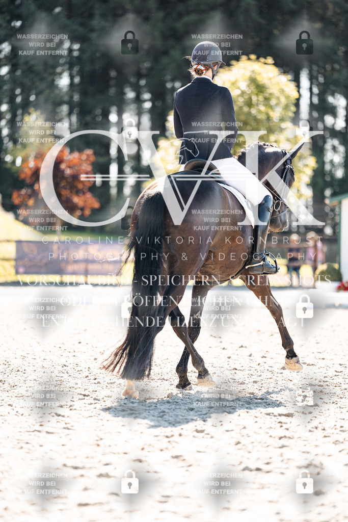 CK905541 | Turnierfotografie Pferdefotografie Trier Rheinland-Pfalz Pferdesport Reitsport Tierfotografie Sportfotografie Pferdevideo Pferdevideografie Equestrianvideography equestrianphotography  - Realisiert mit Pictrs.com