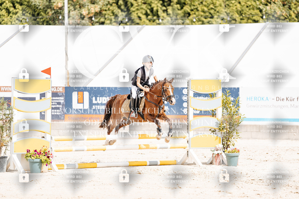 CK906769 | Turnierfotografie Pferdefotografie Trier Rheinland-Pfalz Pferdesport Reitsport Tierfotografie Sportfotografie Pferdevideo Pferdevideografie Equestrianvideography equestrianphotography  - Realisiert mit Pictrs.com