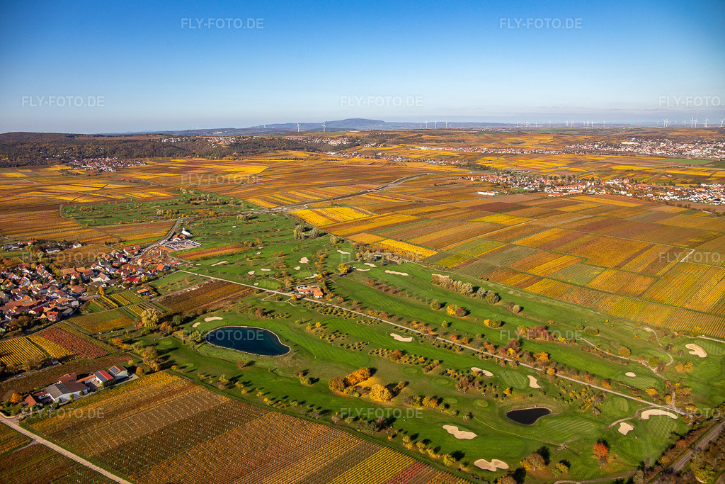 Luftbild: Golfgarten Deutsche Weinstraße in Dackenheim im Bundesland Rheinland-Pfalz in Deutschland. Foto: IMG_123521.jpg vom 31.10.2020 durch Werner Riehm/FLY-FOTO.de