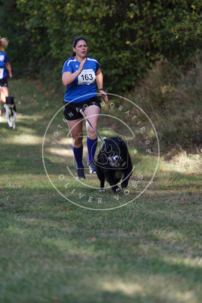 0L8A5264 | Hundefotografie, Tierfotograf, Pfotenfotografie, Fotoshooting Hund, Hunde Portrait, Hundesport, Hundeportraits, Heideshooting, Hunde, Sportfotograf, Hundefotograf, Turnierhundsport, THS,  - Realisiert mit Pictrs.com