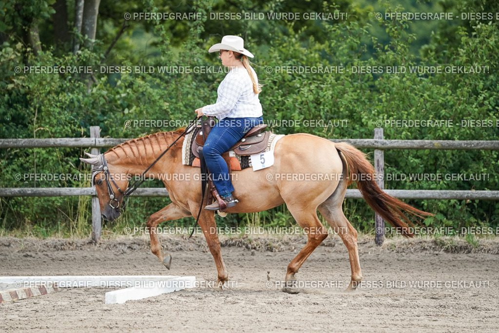 DSC05951 | Pferdegrafie