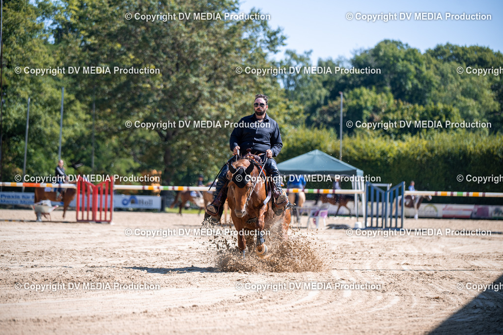 ZS1_0980 | dv-media-shop - Realisiert mit Pictrs.com