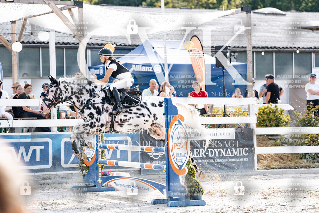 CK905971 | Turnierfotografie Pferdefotografie Trier Rheinland-Pfalz Pferdesport Reitsport Tierfotografie Sportfotografie Pferdevideo Pferdevideografie Equestrianvideography equestrianphotography  - Realisiert mit Pictrs.com