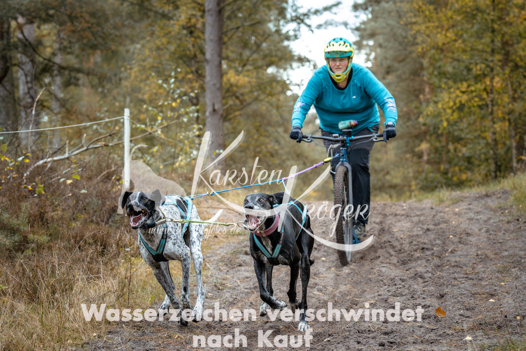 1525_ZZ91569 | kk-dogfotos