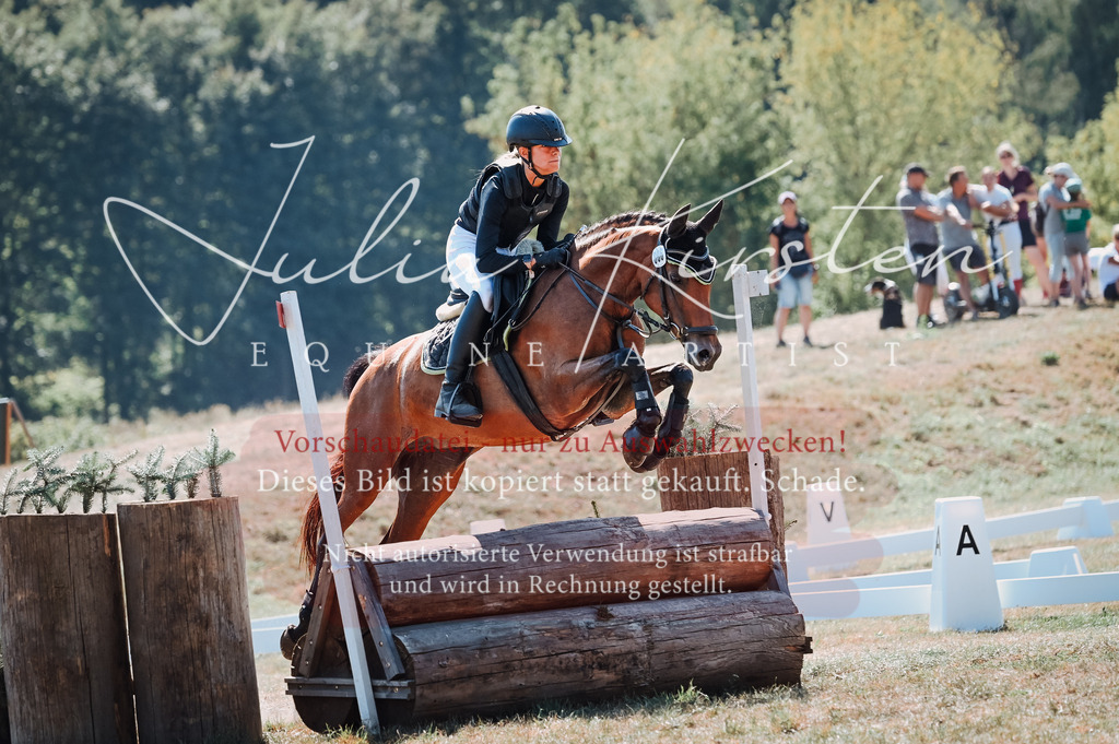 DSC_8164-2 | Pferde- und Turnierfotografie in Westsachsen. Pferdeportraits, Auftragszeichnungen und intuitive Kunst.
