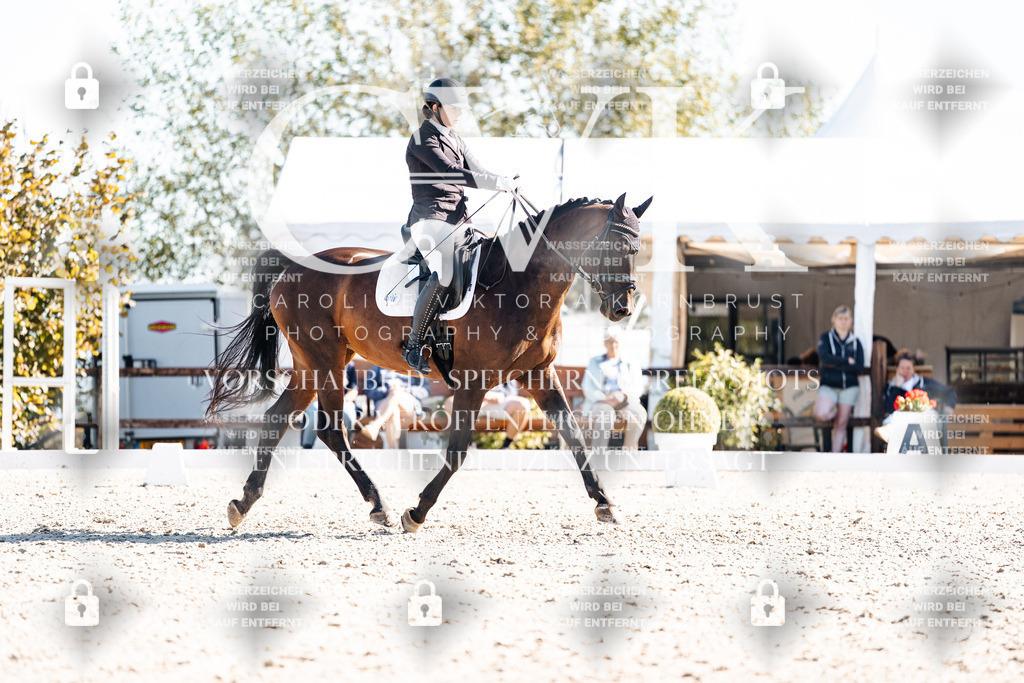 CK908705 | Turnierfotografie Pferdefotografie Trier Rheinland-Pfalz Pferdesport Reitsport Tierfotografie Sportfotografie Pferdevideo Pferdevideografie Equestrianvideography equestrianphotography  - Realisiert mit Pictrs.com