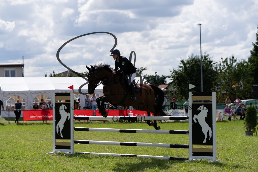 A7V04677 | Pferdefotograf