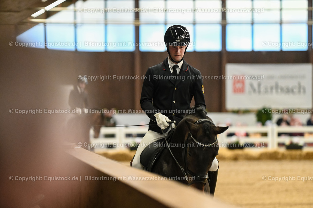 20260307_Hengstvorstellung-Marbach_0054 | equistock