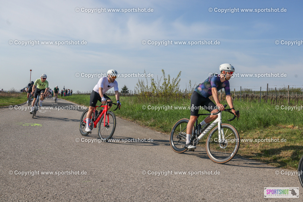007A8849 | Neusiedlersee Radmarathon #neusiedlerseeradmarathon #neusiedlersee #nrm26 #yourpictrs #sportshot_your_pictrs