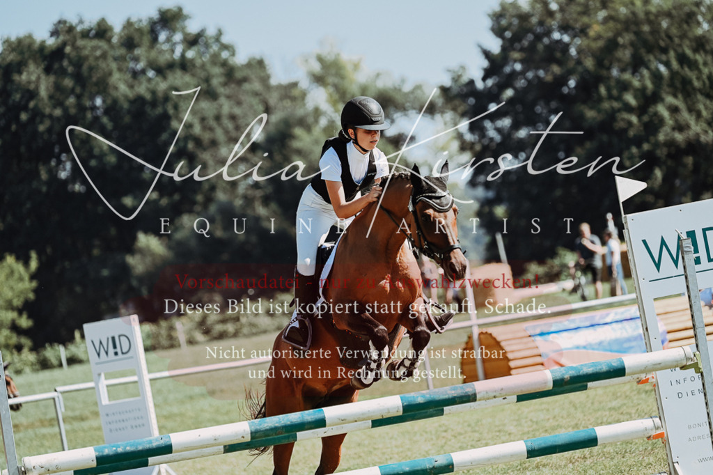 DSC_6130 | Pferde- und Turnierfotografie in Westsachsen. Pferdeportraits, Auftragszeichnungen und intuitive Kunst.