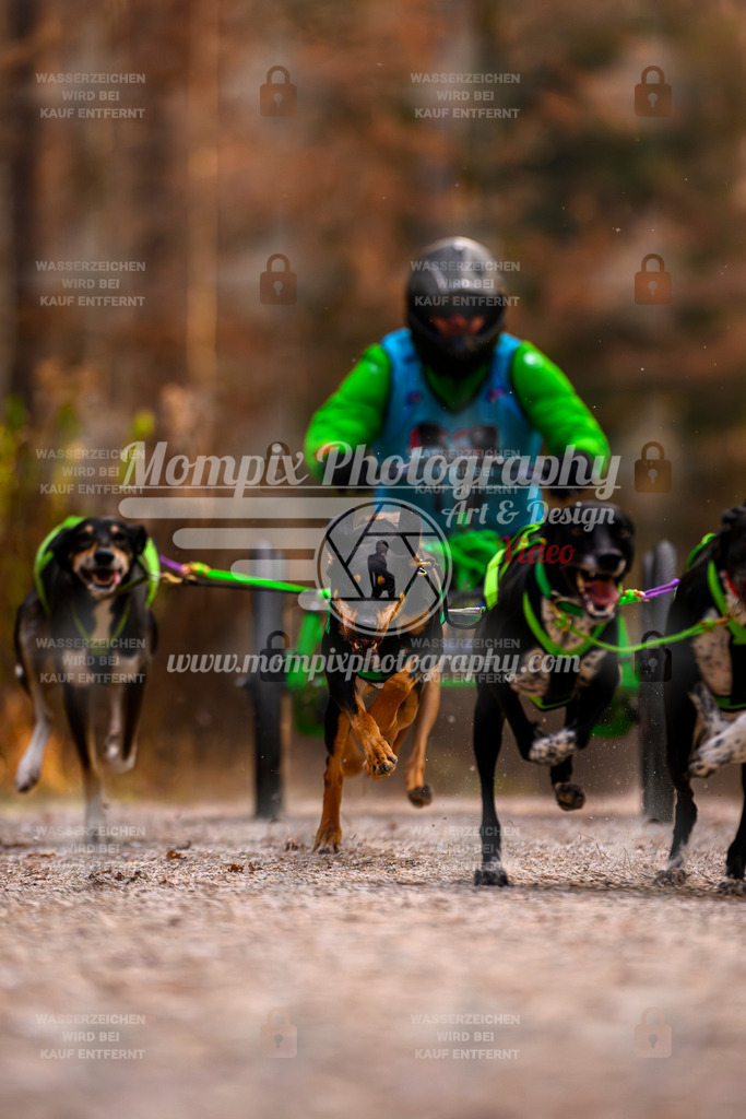 MompixPhotography_DM_AKDM_SO_2025_Wagen-21 | PayLife