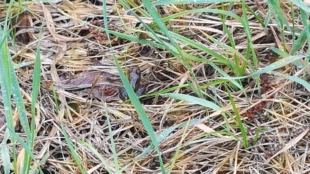 20190515_155037 | Fotoseite Wolkenblende - Das Hobby fotografieren begleitet mich schon  viele  Jahre. Auf den nächsten Seiten zeige ich ein paar Schnappschüsse der letzten Jahre und es kommen immer neue hinzu. Schau einfach mal rein. - Realisiert mit Pictrs.com