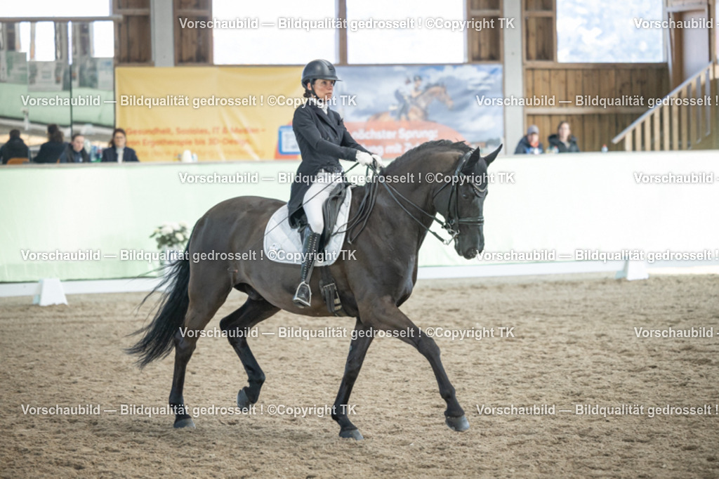 _D5A0339 | Emotionale Pferde- & People-Fotografie rund um Heidelberg, Leimen & Umgebung. Natürliche Fotos von Pferd, Mensch & Familie. Jetzt Termin sichern!