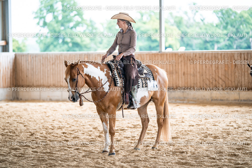 DSC09006 | Pferdegrafie