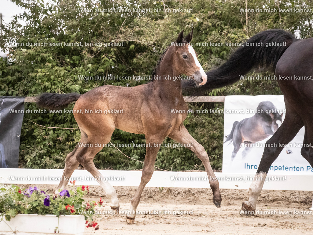 A10I9572 | photographylinaismer - Realisiert mit Pictrs.com
