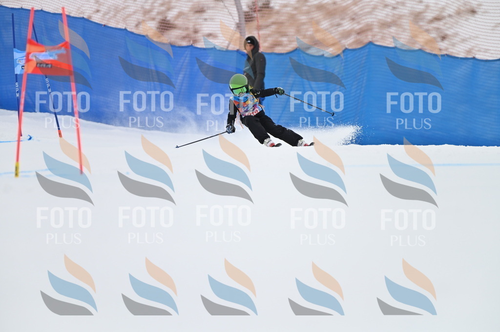 BGV_2942 | holidayphoto