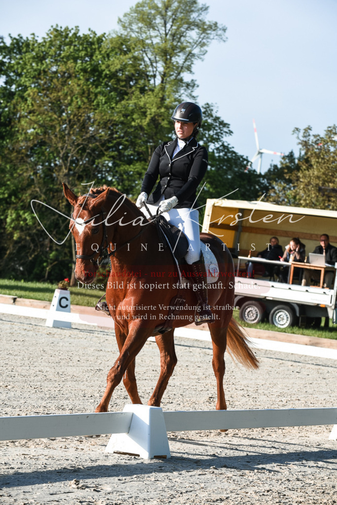 20230518_JK-Röhrsdorf-09-0126 | Pferde- und Turnierfotografie in Westsachsen. Pferdeportraits, Auftragszeichnungen und intuitive Kunst.