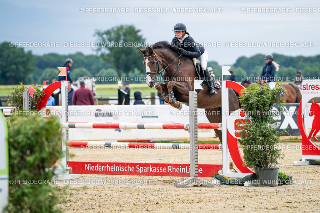 DSC04551 | Pferdegrafie