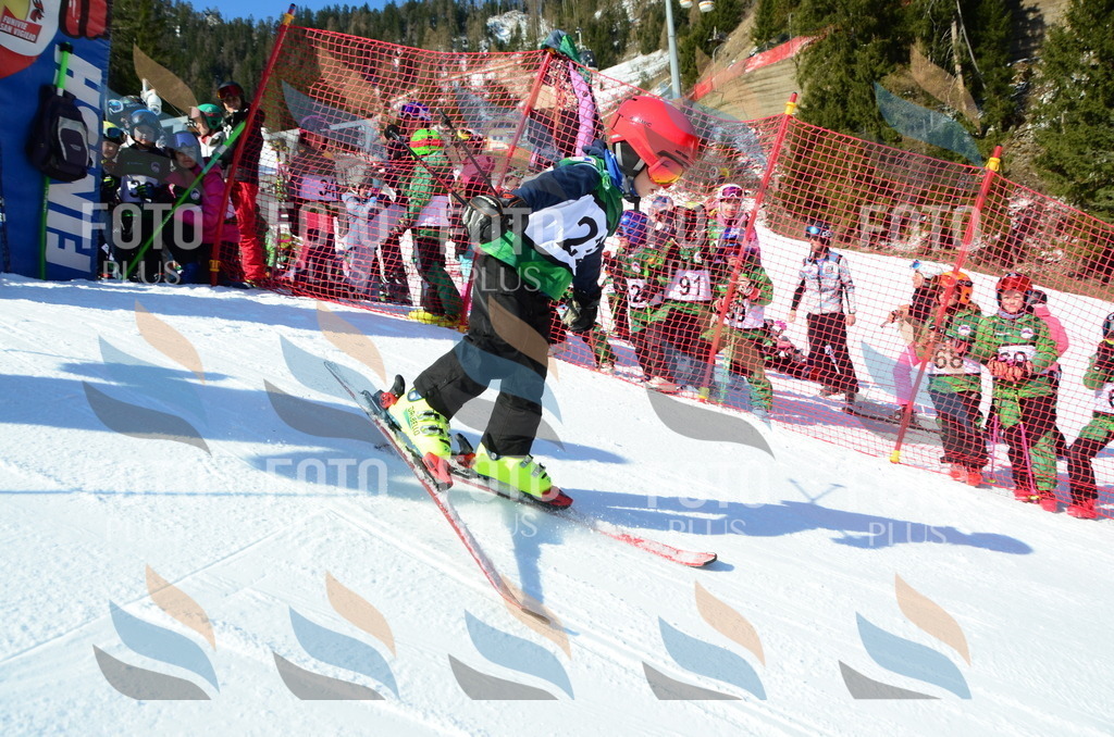 C4778 | holidayphoto