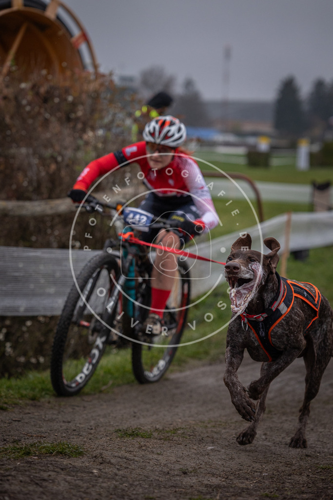 CaniXpix_0L8A1415 | Hundefotografie, Tierfotograf, Pfotenfotografie, Fotoshooting Hund, Hunde Portrait, Hundesport, Hundeportraits, Heideshooting, Hunde, Sportfotograf, Hundefotograf, Turnierhundsport, THS,  - Realisiert mit Pictrs.com