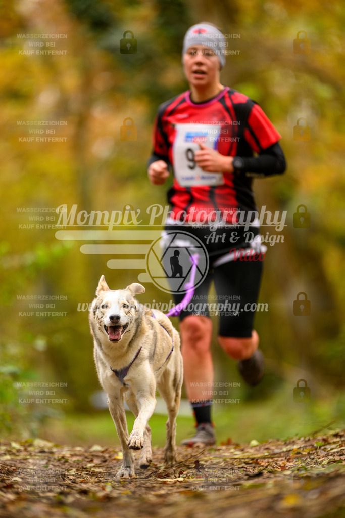 MompixPhotography_Bischwiller24_SA_Canicross-64 | PayLife