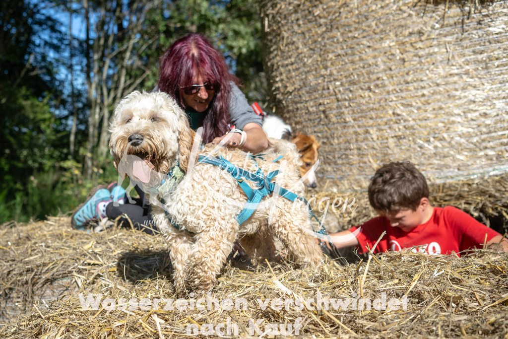 1214_ZZ90886-2 | kk-dogfotos