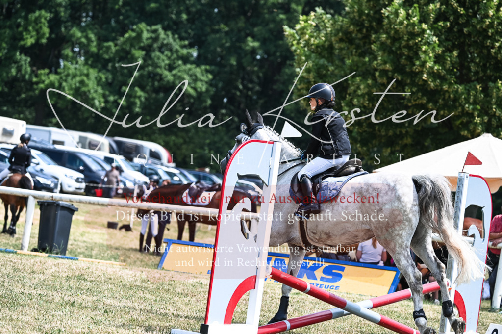 DSC_9817 | Pferde- und Turnierfotografie in Westsachsen. Pferdeportraits, Auftragszeichnungen und intuitive Kunst.