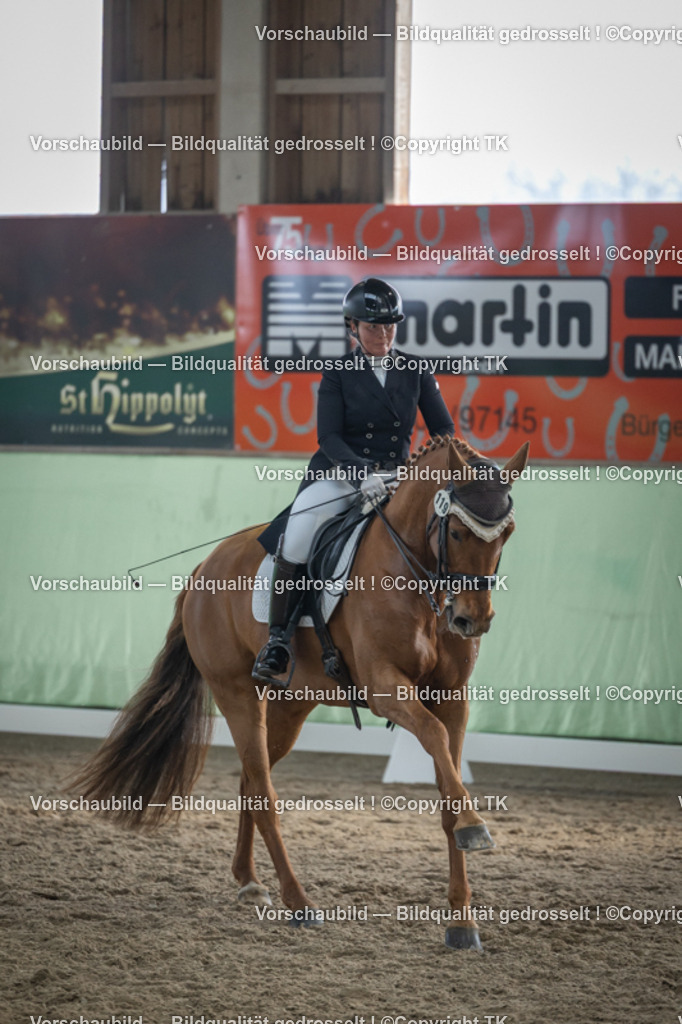 _D5A6520 | Emotionale Pferde- & People-Fotografie rund um Heidelberg, Leimen & Umgebung. Natürliche Fotos von Pferd, Mensch & Familie. Jetzt Termin sichern!