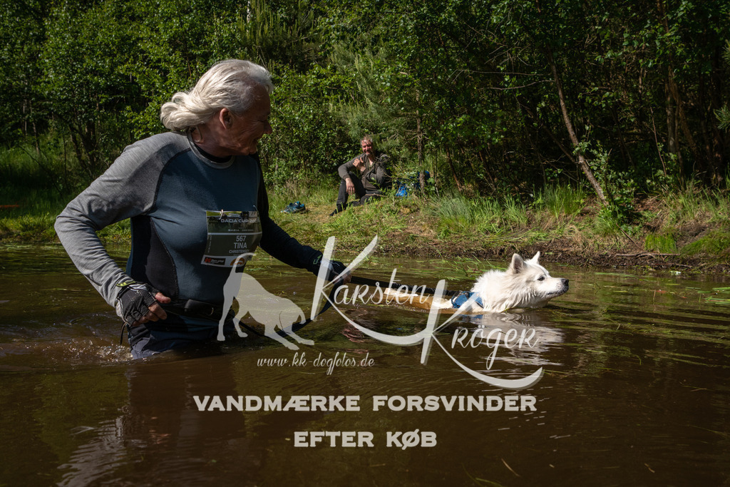 1637DKK991015 | kk-dogfotos