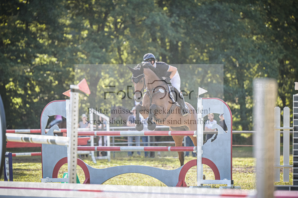 DOS_0357 | Entdecke hochwertige Reitturnierfotos von Foto Oger. Professionell, emotional und authentisch – jetzt Lieblingsmomente im Shop bestellen.Deutschlandweite Turnierfotografie. - Realisiert mit Pictrs.com