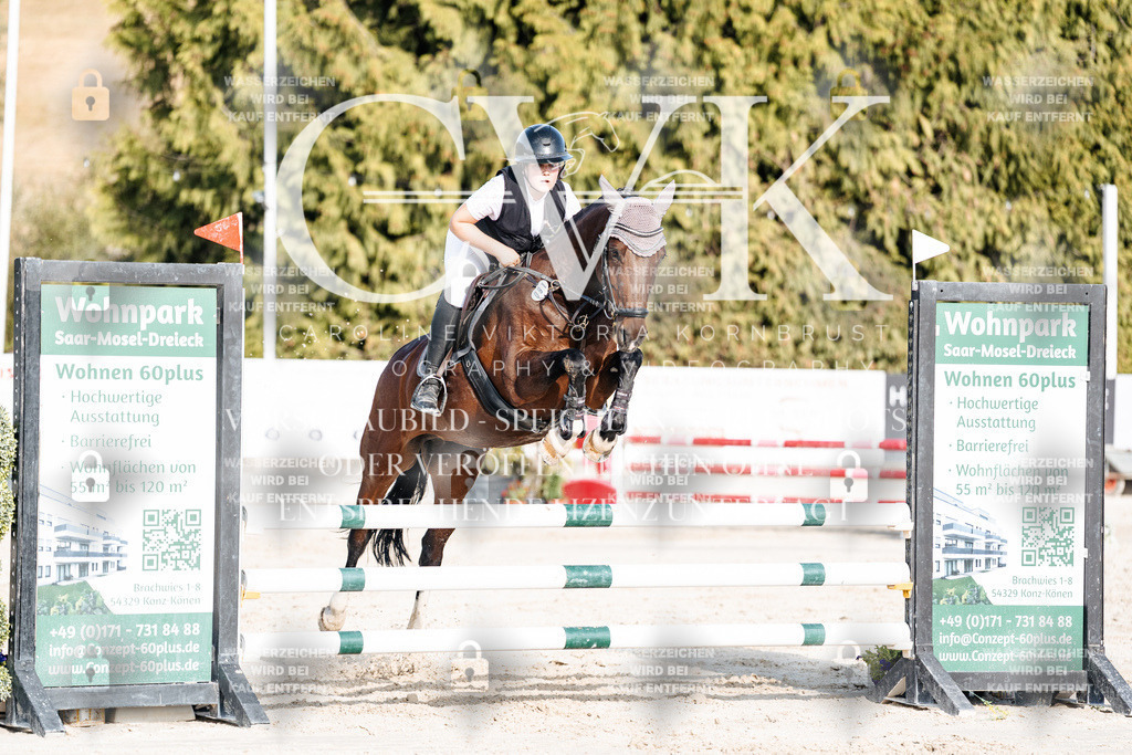 CK909574 | Turnierfotografie Pferdefotografie Trier Rheinland-Pfalz Pferdesport Reitsport Tierfotografie Sportfotografie Pferdevideo Pferdevideografie Equestrianvideography equestrianphotography  - Realisiert mit Pictrs.com
