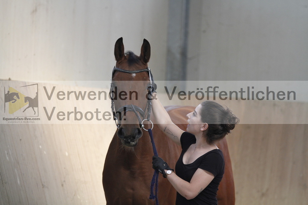 _MG_0627 | equestrian-live-com
