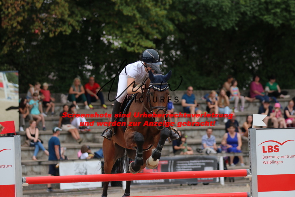 IMG_2423 | lmwpictures - Realisiert mit Pictrs.com