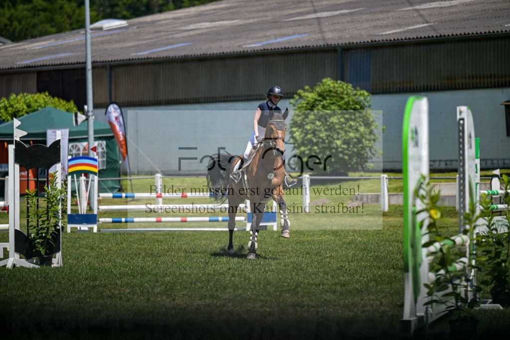 Reitturnier Voxtrup | Entdecke hochwertige Reitturnierfotos von Foto Oger. Professionell, emotional und authentisch – jetzt Lieblingsmomente im Shop bestellen.Deutschlandweite Turnierfotografie. - Realisiert mit Pictrs.com