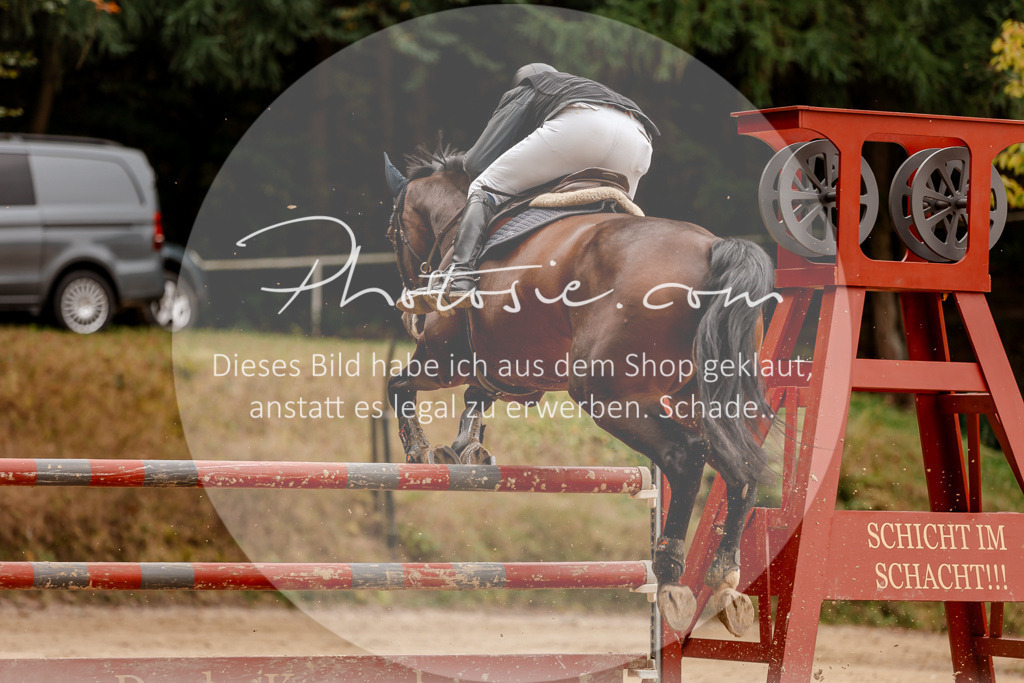 3I6A8038 | Stimmungsvolle Portraits und Reitsportfotografie im Ruhrgebiet und im Münsterland.

Pferdefotografie, Hundefotografie, Tierfotografie, Reportagen, Portraits von Tier und Mensch, Turnierfotografie in Bochum, Recklinghausen, Marl, Haltern am See, Dülmen.. - Realisiert mit Pictrs.com