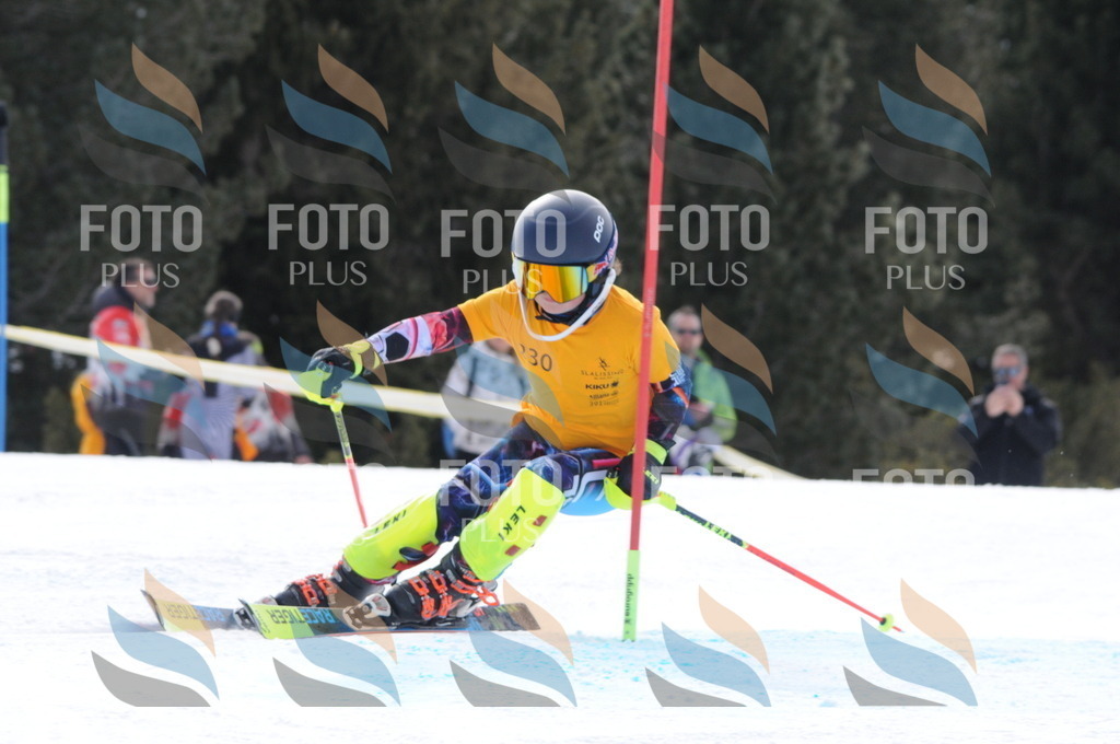 C7666 | holidayphoto