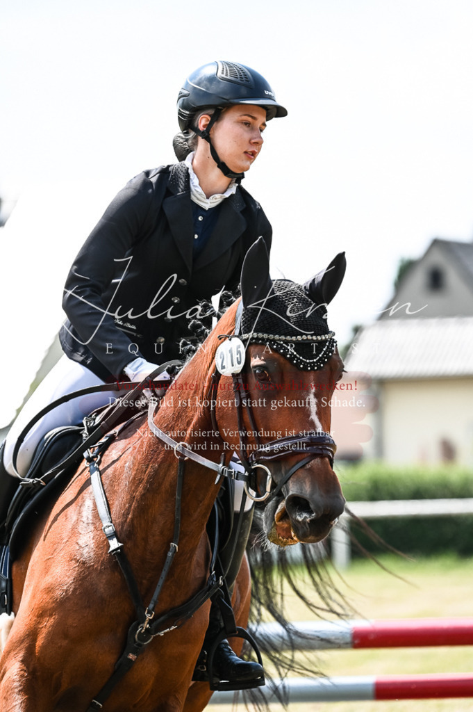 DSC_9431 | Pferde- und Turnierfotografie in Westsachsen. Pferdeportraits, Auftragszeichnungen und intuitive Kunst.