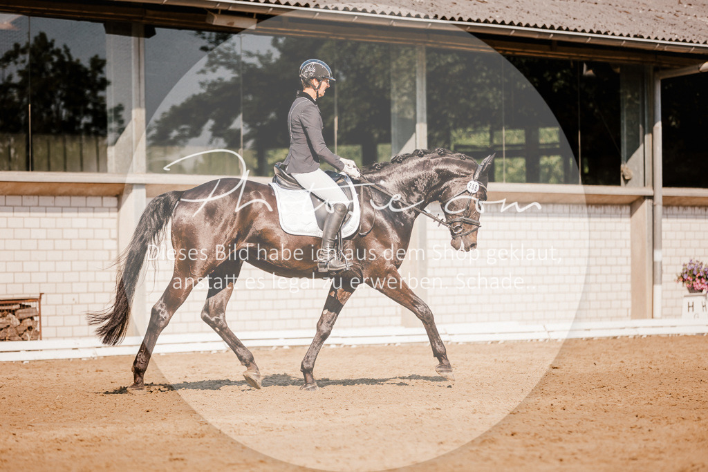 3I6A9145 | Stimmungsvolle Portraits und Reitsportfotografie im Ruhrgebiet und im Münsterland.

Pferdefotografie, Hundefotografie, Tierfotografie, Reportagen, Portraits von Tier und Mensch, Turnierfotografie in Bochum, Recklinghausen, Marl, Haltern am See, Dülmen.. - Realisiert mit Pictrs.com