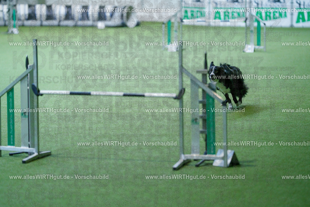 @allesWIRTHgut_Tierfotografie - www.allesWIRTHgut.de - 2604260809-7R506705 | Professionelle Tierfotografie in Mönchengladbach von Daniel Wirth (allesWIRTHgut). Liebevolle & natürliche Bilder von Hunden & Katzen für unvergessliche Erinnerungen.