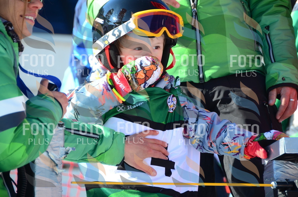 C4784 | holidayphoto