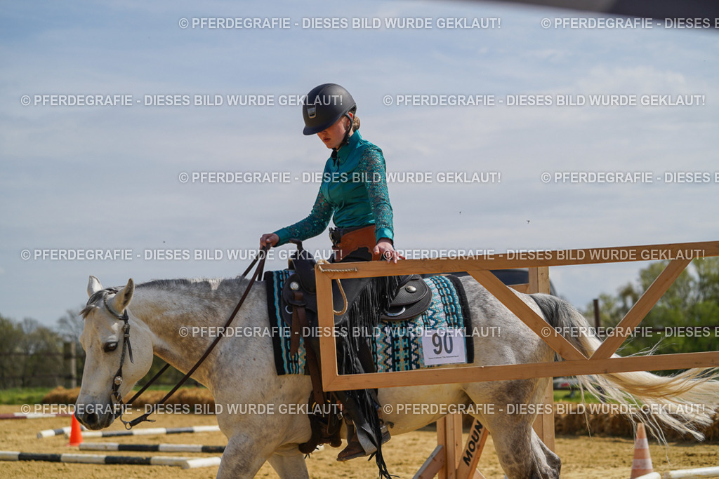 DSC04562 | Pferdegrafie