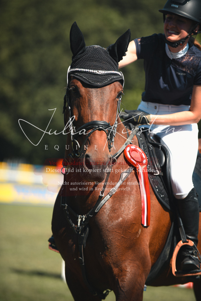 DSC_7334 | Pferde- und Turnierfotografie in Westsachsen. Pferdeportraits, Auftragszeichnungen und intuitive Kunst.