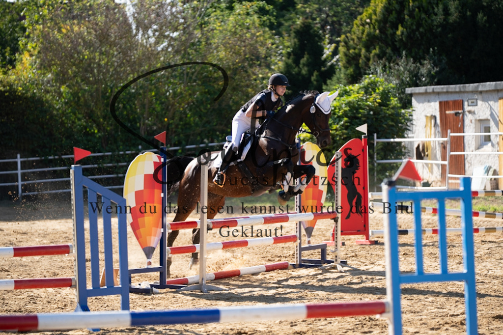 A7V02572 | Pferdefotograf