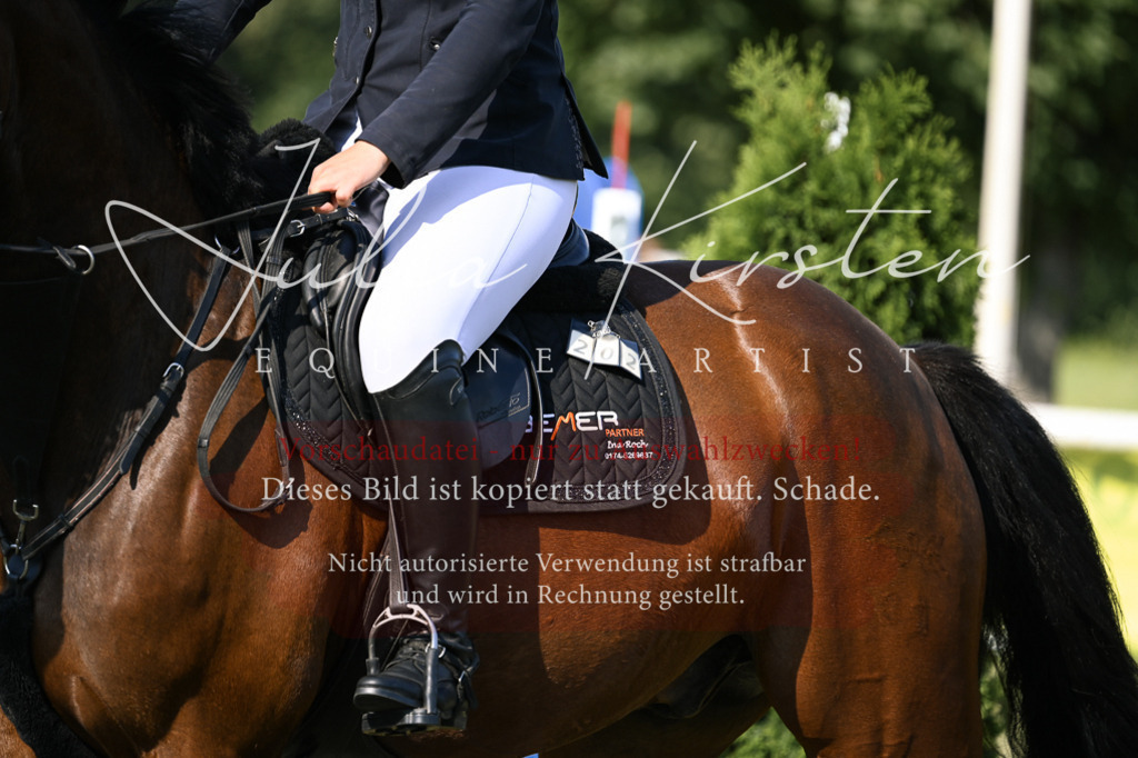 DSC_1444 | Pferde- und Turnierfotografie in Westsachsen. Pferdeportraits, Auftragszeichnungen und intuitive Kunst.