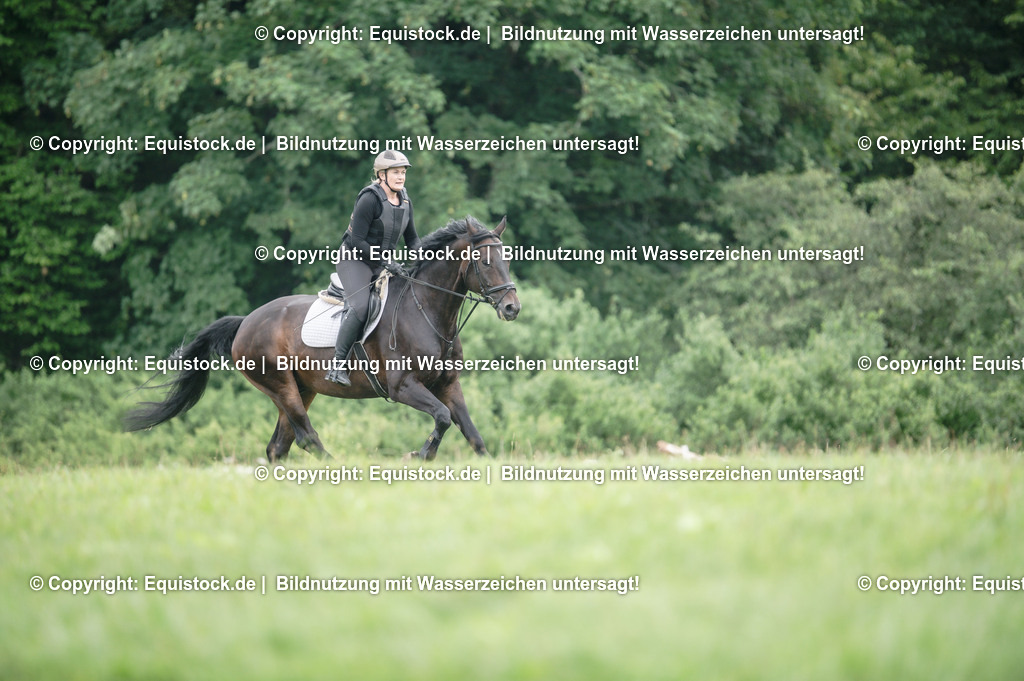 20250726_Vielseitigkeitslehrgang-Marbach_0452 | Foto: Thomas Hartig