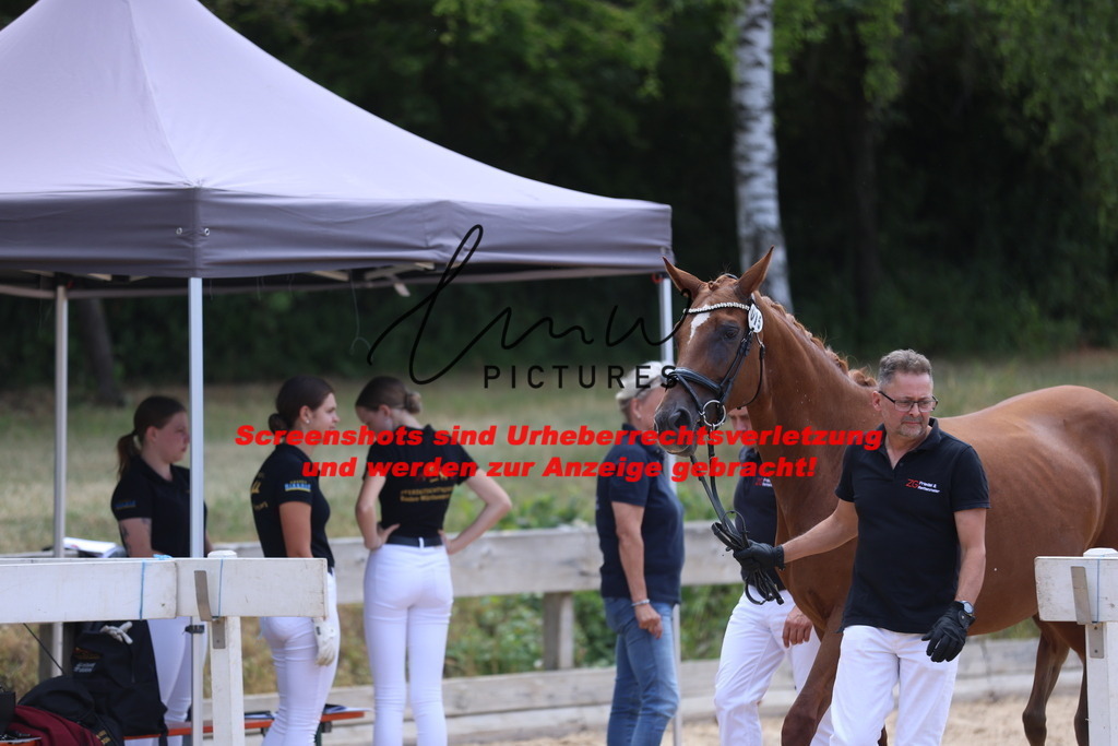 Fohlenschau_Schwäbisch_Hall_dressurbetonte_Fohlen_Goldring_KN 15_1 | lmwpictures - Realisiert mit Pictrs.com